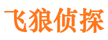 巨野市婚外情调查